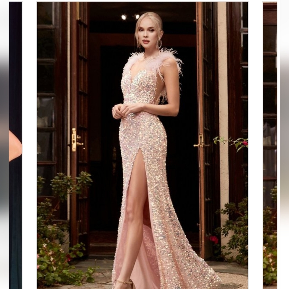 Stunning Blush Prom